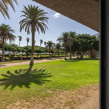 Jardin 1